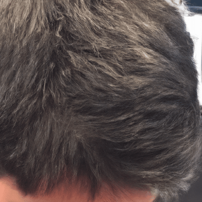 Gray Reverse Conditioner Bar